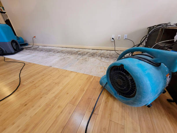 Professional Ceiling Water Damage Repair technician working in Fresno, OH